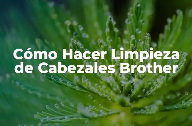 Cómo Hacer Limpieza de Cabezales Brother