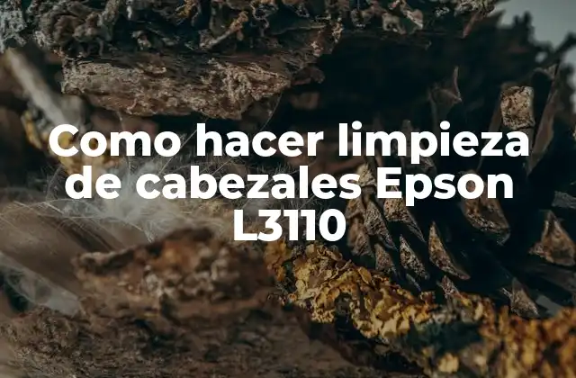 Como Hacer Limpieza de Cabezales Epson L3110