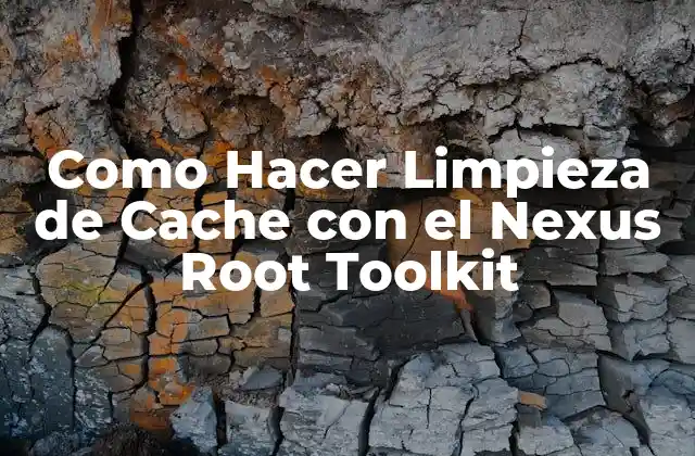 Como Hacer Limpieza de Cache con el Nexus Root Toolkit