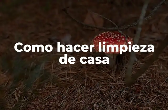 ¿Qué es la limpieza de casa y por qué es importante?
