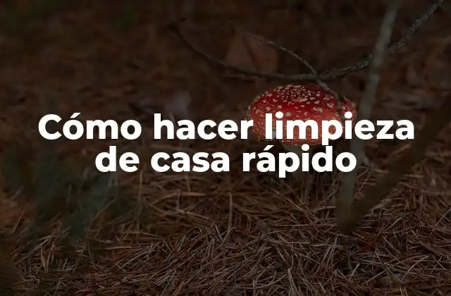 Cómo Hacer Limpieza de Casa Rápido
