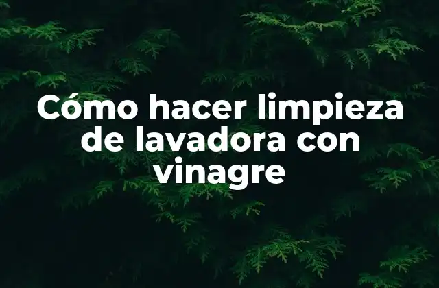 Cómo Hacer Limpieza de Lavadora con Vinagre