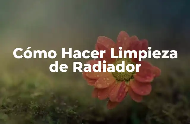 Cómo Hacer Limpieza de Radiador