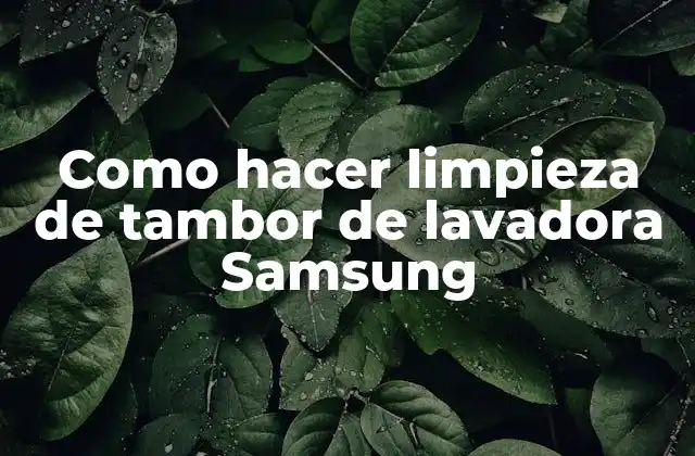 Como Hacer Limpieza de Tambor de Lavadora Samsung