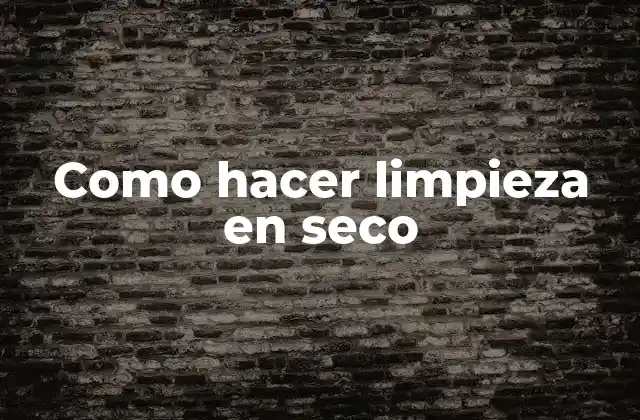 Como Hacer Limpieza en Seco