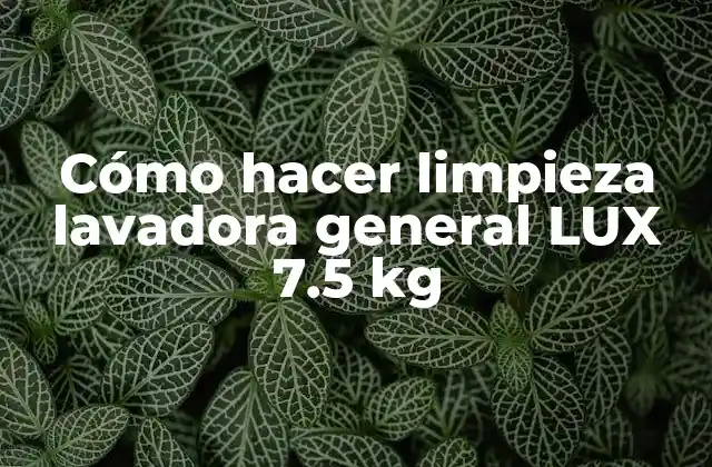 Cómo Hacer Limpieza Lavadora General Lux 7.5 Kg