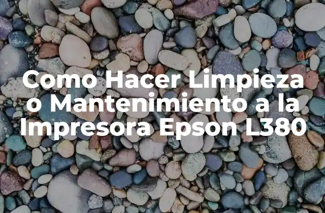 Como Hacer Limpieza o Mantenimiento a la Impresora Epson L380