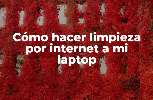 ¿Qué es la limpieza por internet y para qué sirve?