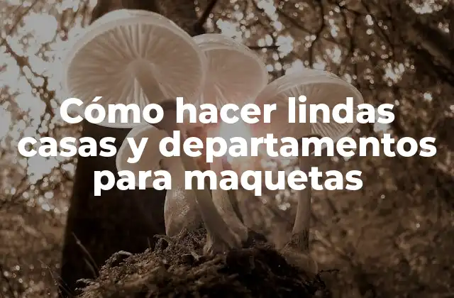 Cómo Hacer Lindas Casas y Departamentos para Maquetas