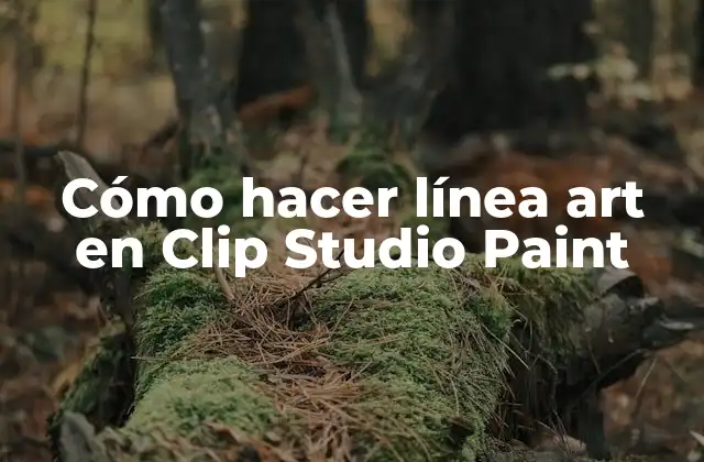 Cómo Hacer Línea Art en Clip Studio Paint