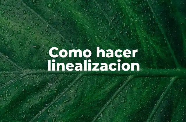Como Hacer Linealizacion