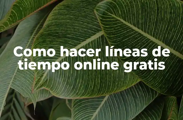 Como Hacer Líneas de Tiempo Online Gratis
