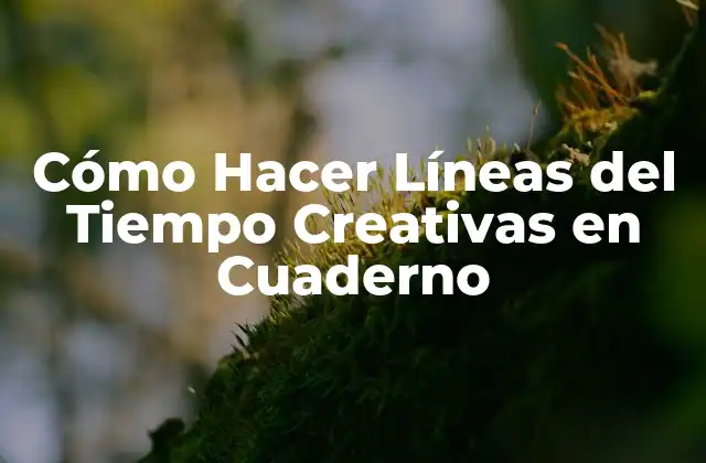 Cómo Hacer Líneas Del Tiempo Creativas en Cuaderno