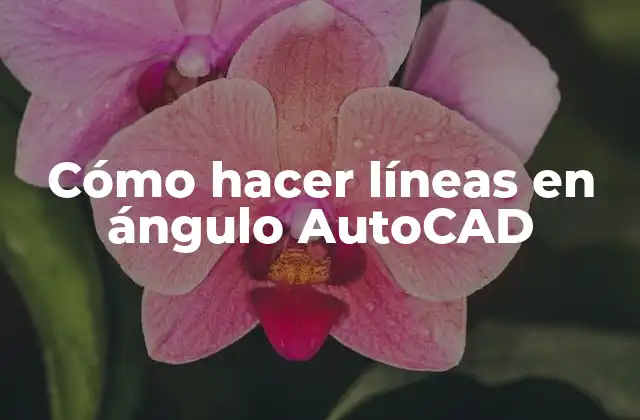Cómo Hacer Líneas en Ángulo Autocad