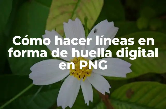 Cómo Hacer Líneas en Forma de Huella Digital en Png