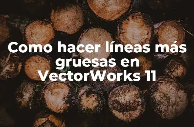 Líneas Más Gruesas en VectorWorks 11