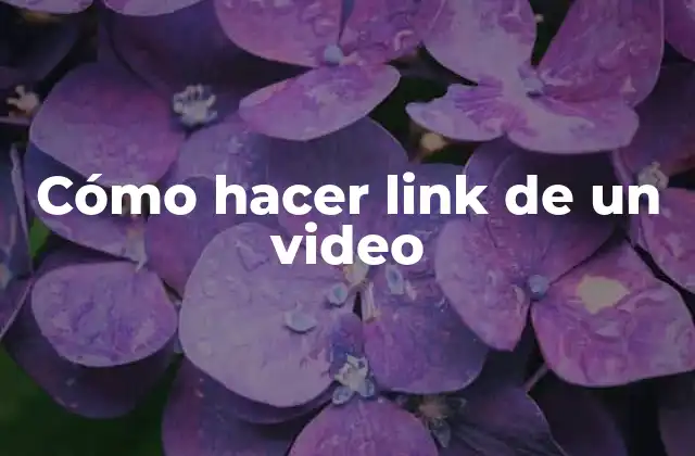 Cómo Hacer Link de un Video