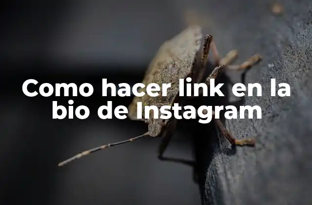 Como Hacer Link en la Bio de Instagram