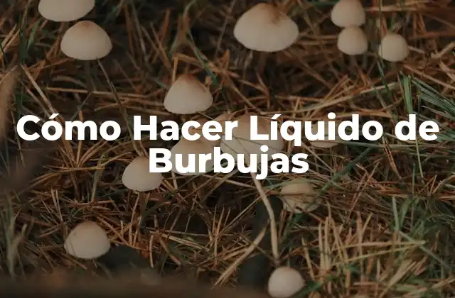 Cómo Hacer Líquido de Burbujas 2 ¿Qué es el Líquido de Burbujas y para Qué Sirve?