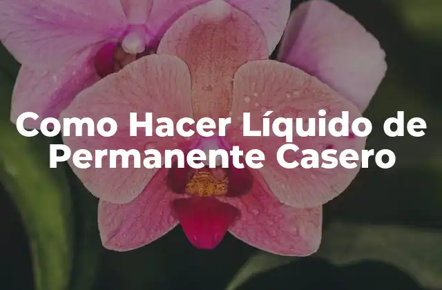 Como Hacer Líquido de Permanente Casero