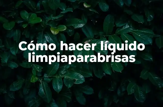Cómo Hacer Líquido Limpiaparabrisas 2 Cómo hacer líquido limpiaparabrisas