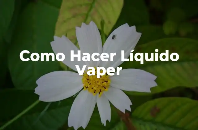 Como Hacer Líquido Vaper