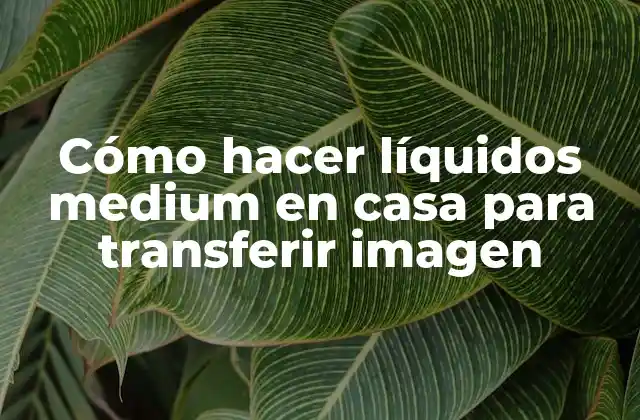 Cómo Hacer Líquidos Medium en Casa para Transferir Imagen
