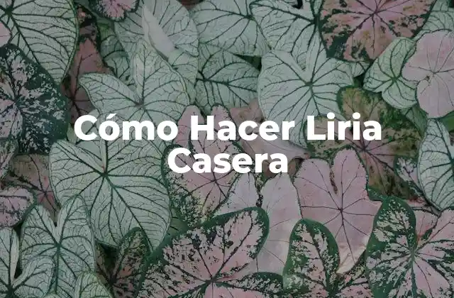 Cómo Hacer Liria Casera