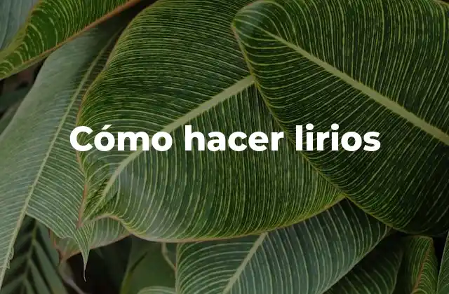 ¿Qué son los lirios y para qué sirven?