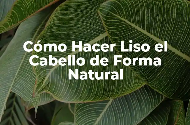 Cómo Hacer Liso el Cabello de Forma Natural