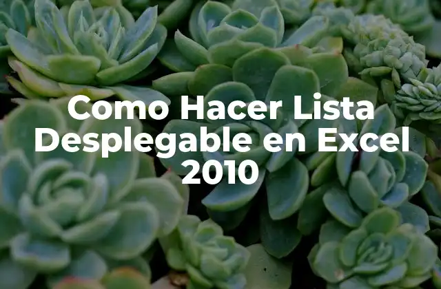 Como Hacer Lista Desplegable en Excel 2010
