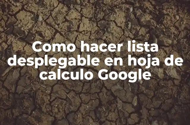 Como Hacer Lista Desplegable en Hoja de Calculo Google