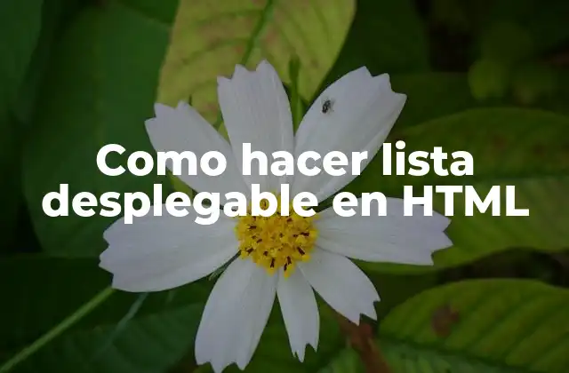 Como Hacer Lista Desplegable en Html