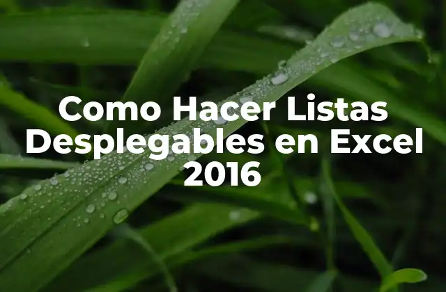 Como Hacer Listas Desplegables en Excel 2016