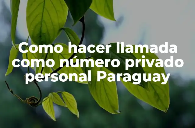 Como Hacer Llamada como Número Privado Personal Paraguay