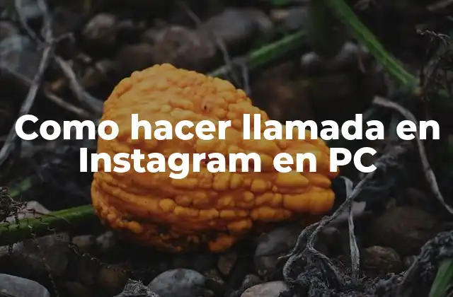 Como Hacer Llamada en Instagram en Pc