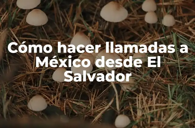 Cómo Hacer Llamadas a México desde el Salvador