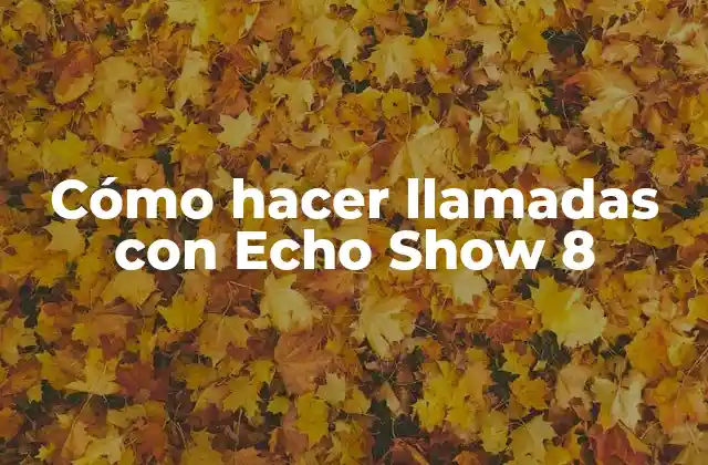 Cómo Hacer Llamadas con Echo Show 8