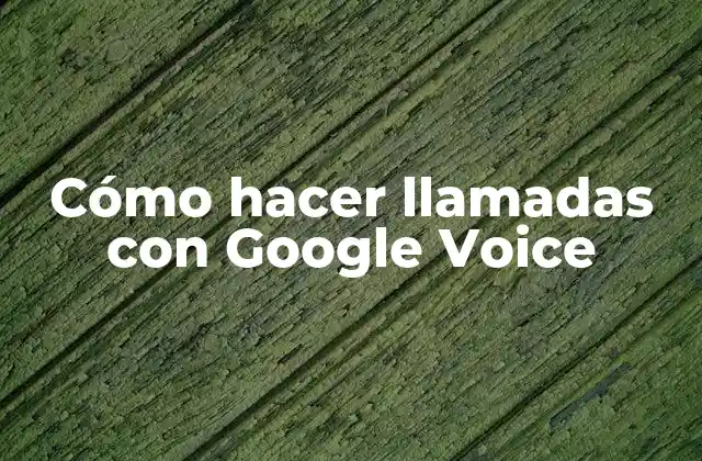 Cómo Hacer Llamadas con Google Voice 2 Cómo hacer llamadas con Google Voice