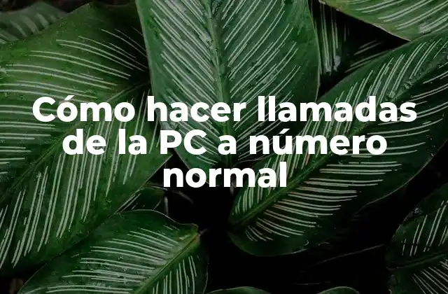 Cómo Hacer Llamadas de la Pc a Número Normal