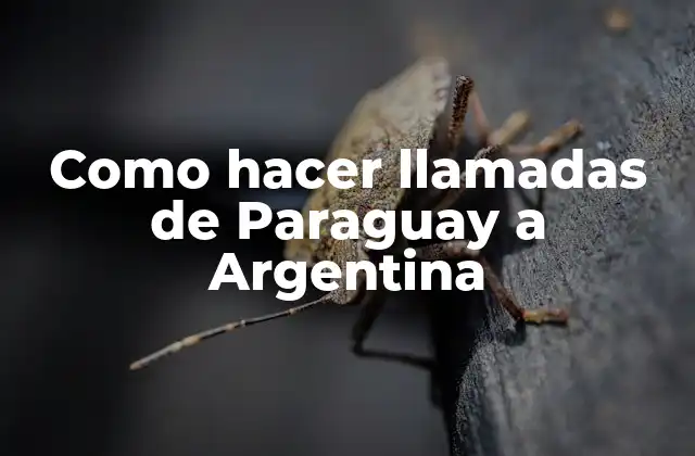 Como Hacer Llamadas de Paraguay a Argentina