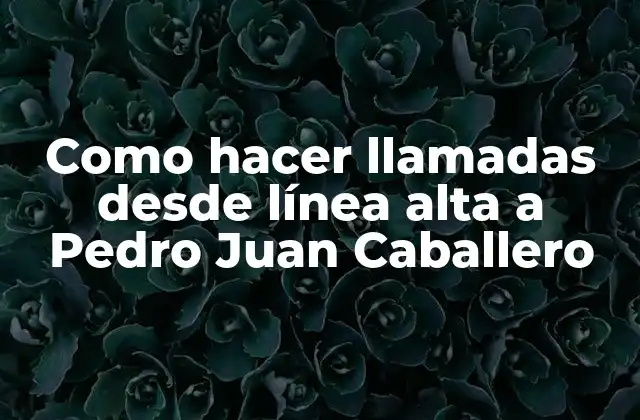 Como Hacer Llamadas desde Línea Alta a Pedro Juan Caballero
