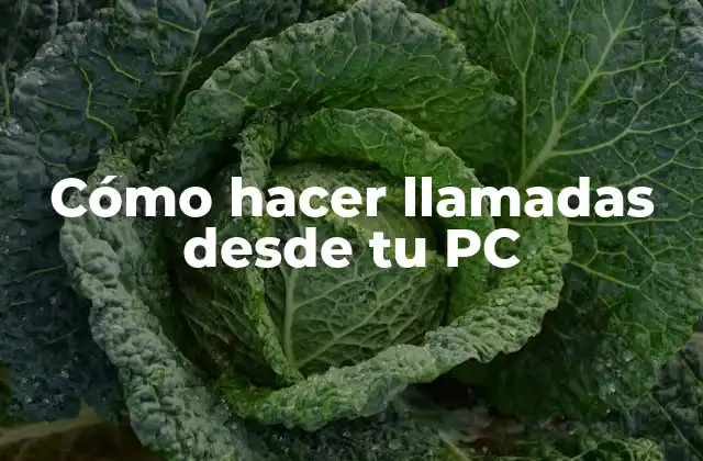 Cómo Hacer Llamadas desde Tu Pc