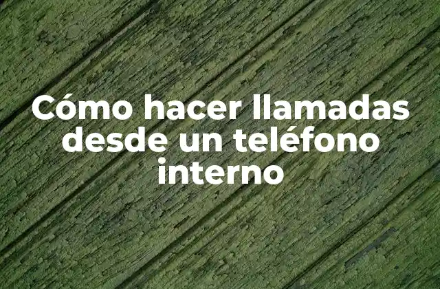 Cómo Hacer Llamadas desde un Teléfono Interno