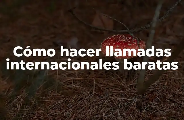 Cómo Hacer Llamadas Internacionales Baratas