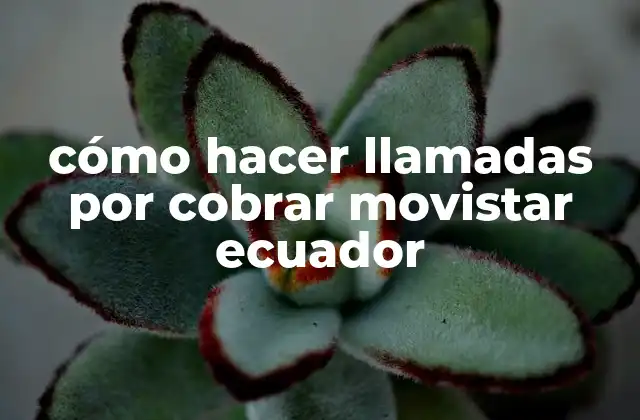 Cómo Hacer Llamadas por Cobrar Movistar Ecuador