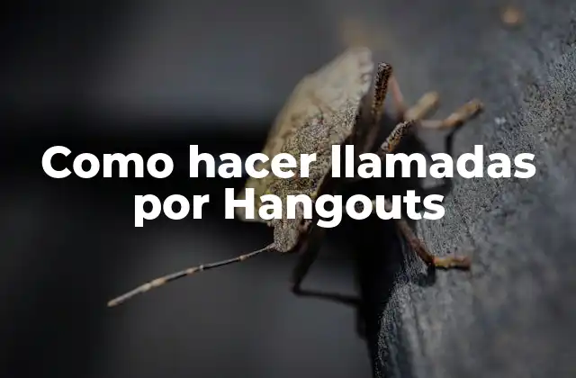 Como Hacer Llamadas por Hangouts