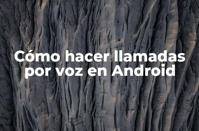Cómo Hacer Llamadas por Voz en Android
