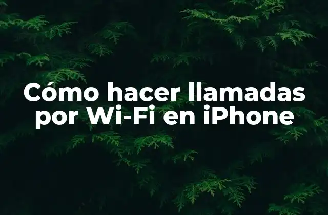 Cómo Hacer Llamadas por Wi-fi en Iphone