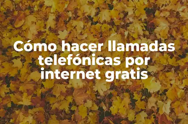 Cómo Hacer Llamadas Telefónicas por Internet Gratis 2 Cómo hacer llamadas telefónicas por internet gratis